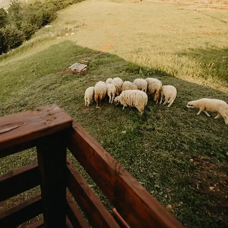 Uvacki Raj Case de vacanță *