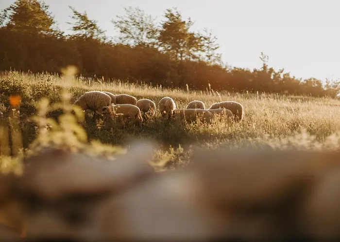 Uvacki Raj * Radijevici