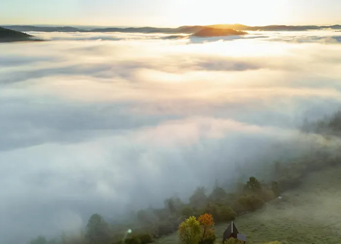 Uvacki Raj Radijevici